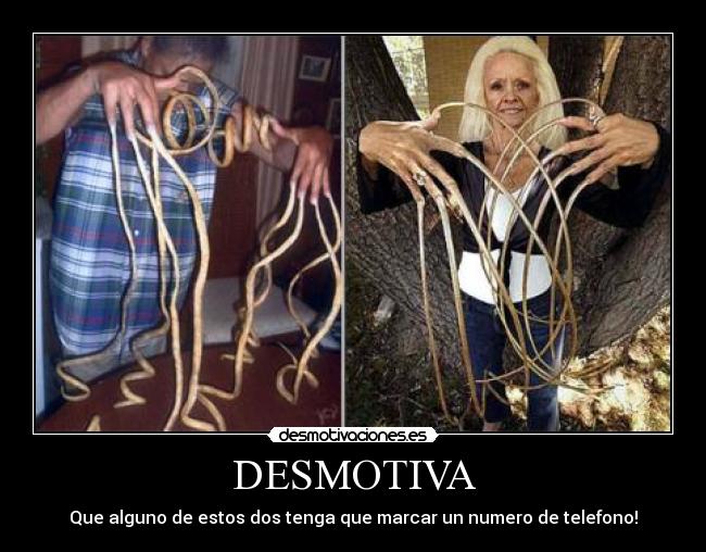DESMOTIVA - Que alguno de estos dos tenga que marcar un numero de telefono!