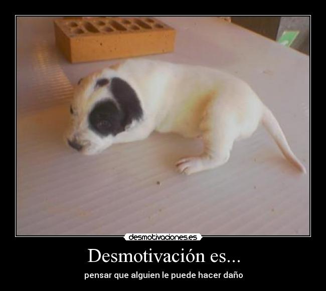 Desmotivación es... -