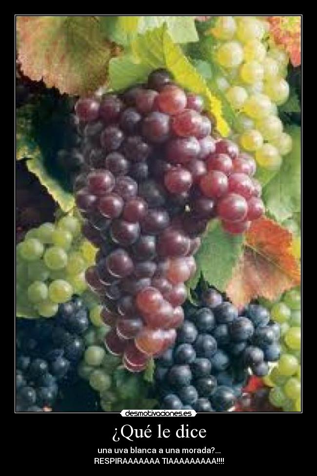 ¿Qué le dice - una uva blanca a una morada?...
RESPIRAAAAAAA TIAAAAAAAAA!!!!