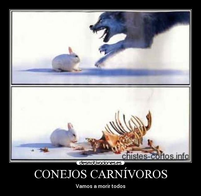 CONEJOS CARNÍVOROS - Vamos a morir todos