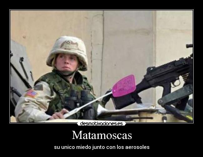 Matamoscas - su unico miedo junto con los aerosoles