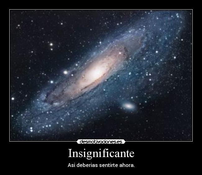 Insignificante - Asi deberias sentirte ahora.