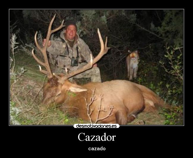 Cazador - cazado
