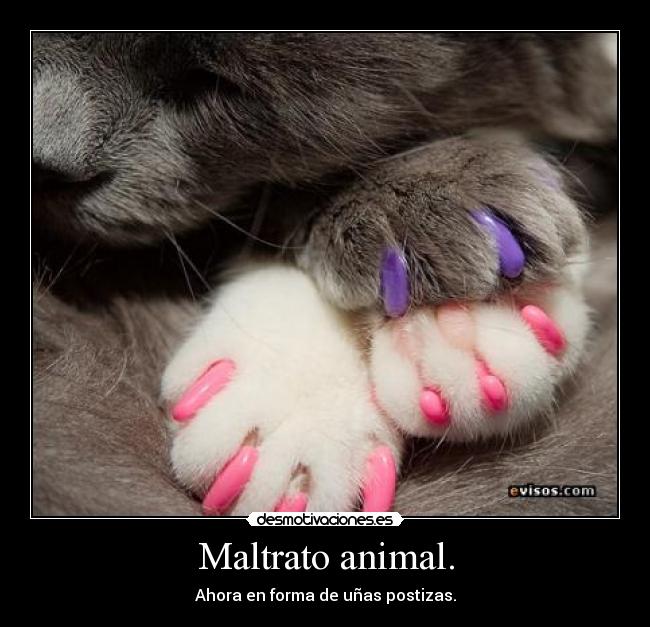 Maltrato animal. - Ahora en forma de uñas postizas.