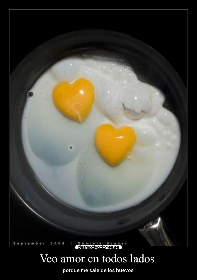 Veo amor en todos lados  - 