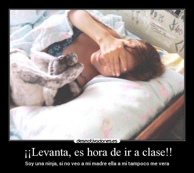 ¡¡Levanta, es hora de ir a clase!! -