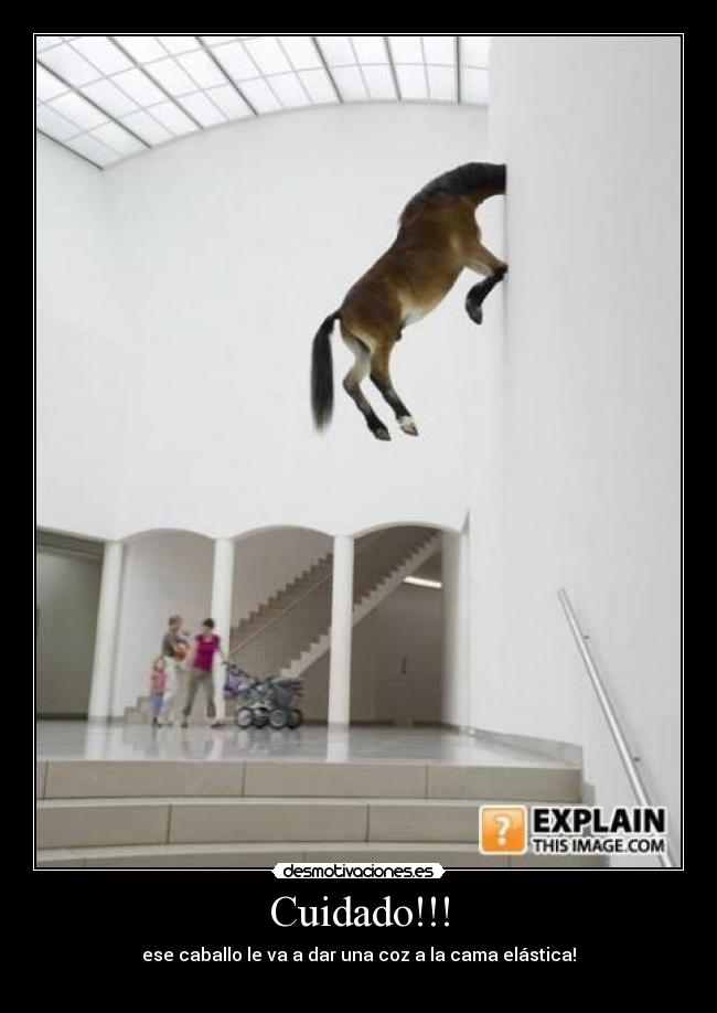 Cuidado!!! - ese caballo le va a dar una coz a la cama elástica!
