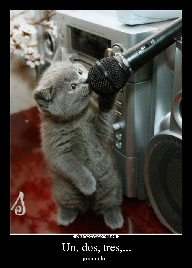 carteles probando desmotivaciones