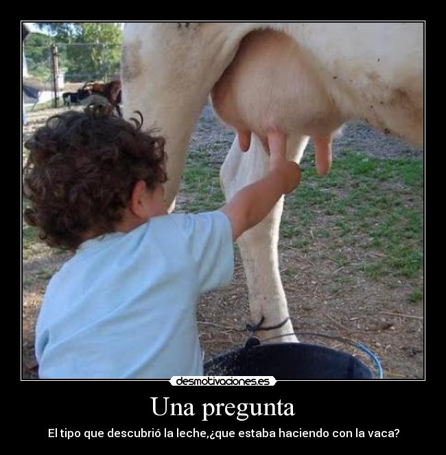 Una pregunta - El tipo que descubrió la leche,¿que estaba haciendo con la vaca?