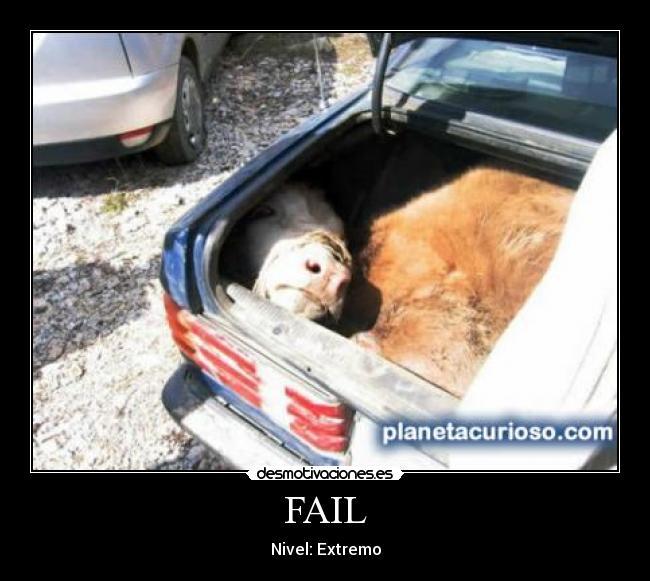FAIL -