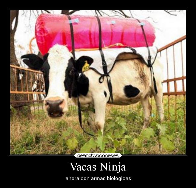 carteles vacas ninja biologia armas desmotivaciones