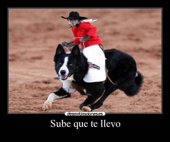 Sube que te llevo -