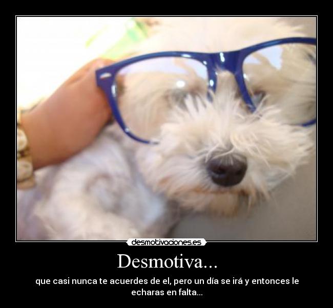 Desmotiva... - 