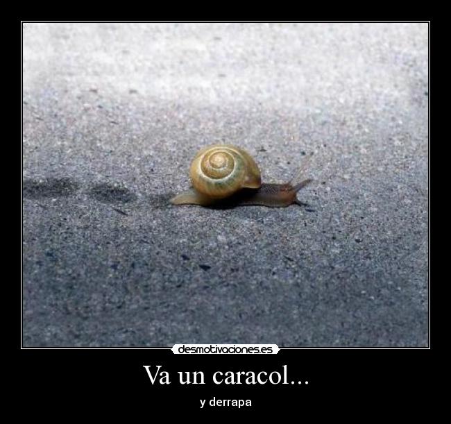 Va un caracol... - y derrapa