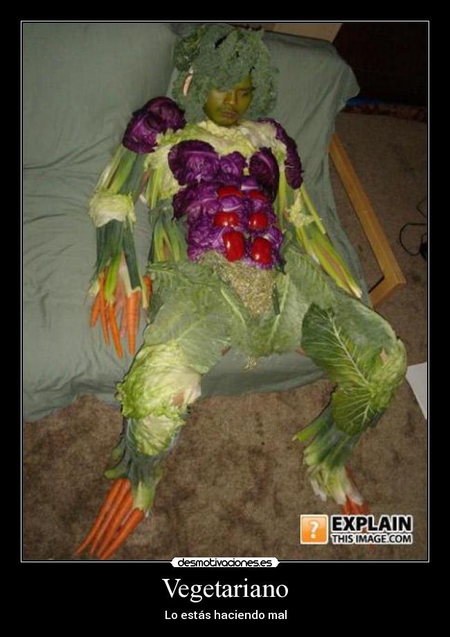 Vegetariano -