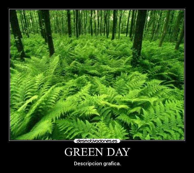 GREEN DAY - 