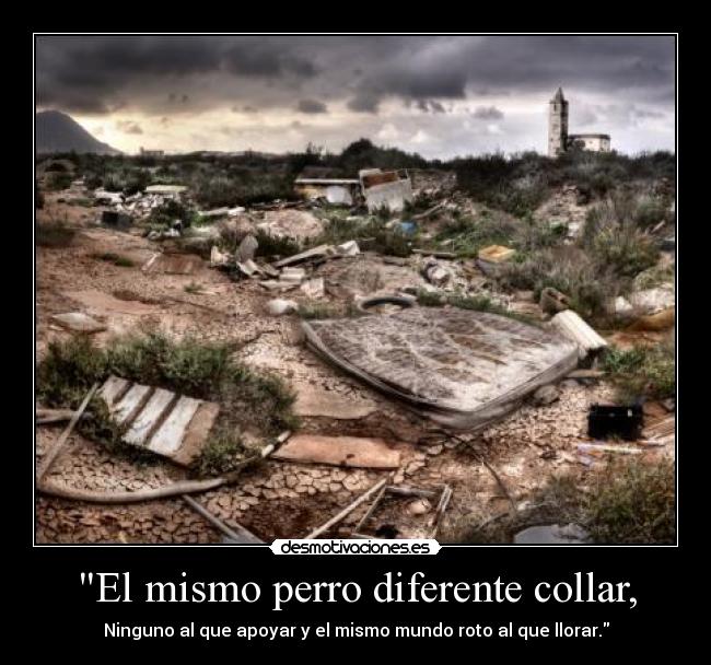 El mismo perro diferente collar, -