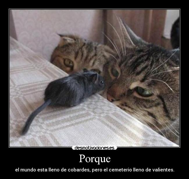Porque - el mundo esta lleno de cobardes, pero el cemeterio lleno de valientes.