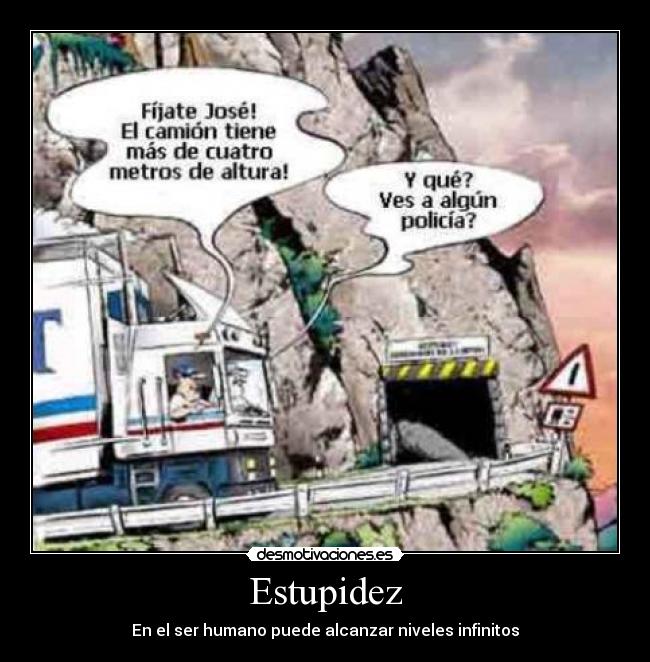 Estupidez -