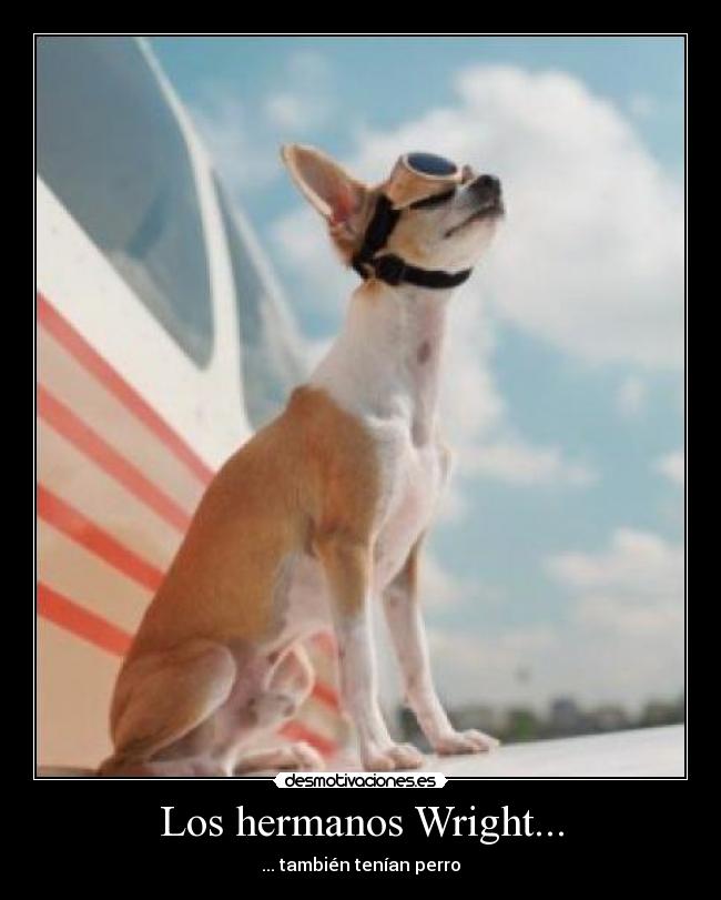 carteles perro wright avion desmotivaciones