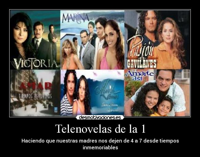 carteles amor victoria amor novelas telenovelas pasion gavilanes suricato nordico marina mar marino estrella desmotivaciones