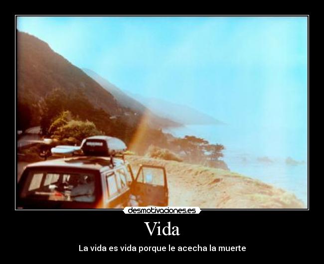 carteles vida vida muerte aelebea desmotivaciones