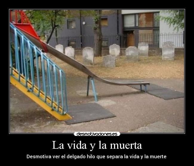 carteles vida vida muerte desmotivaciones