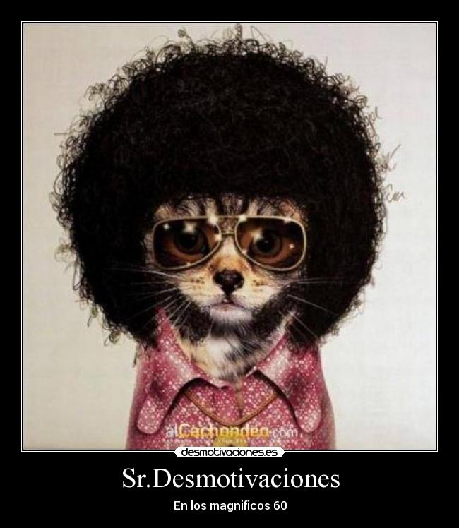 Sr.Desmotivaciones -
