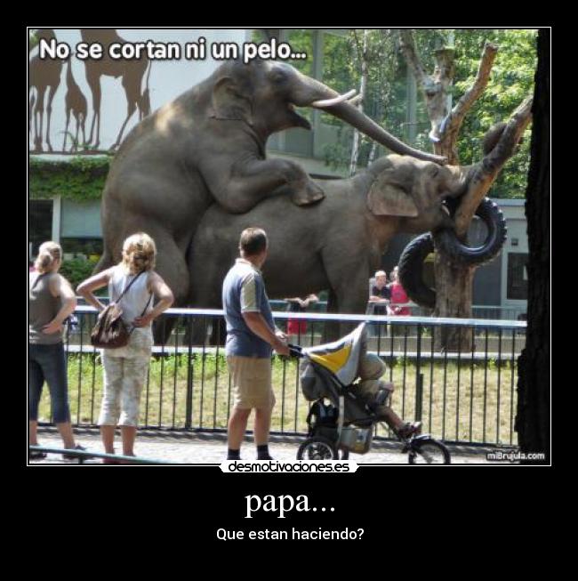 papa... - Que estan haciendo?
