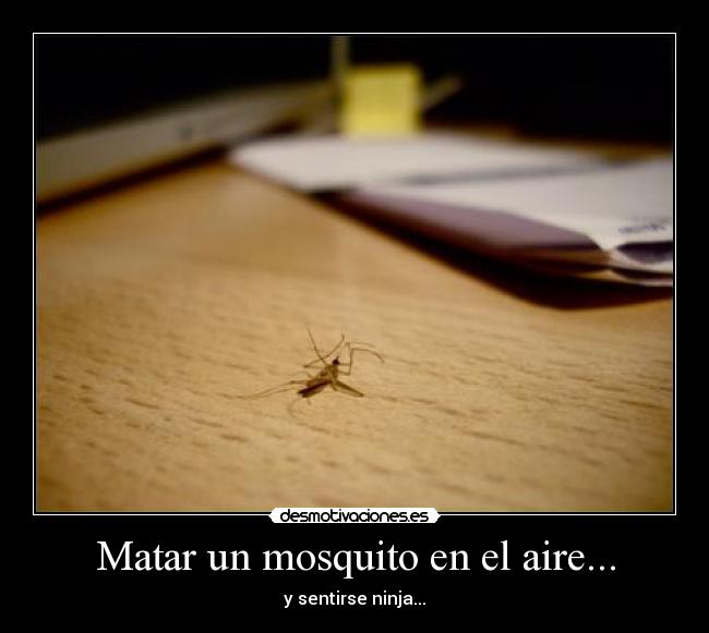 Matar un mosquito en el aire... - y sentirse ninja...
