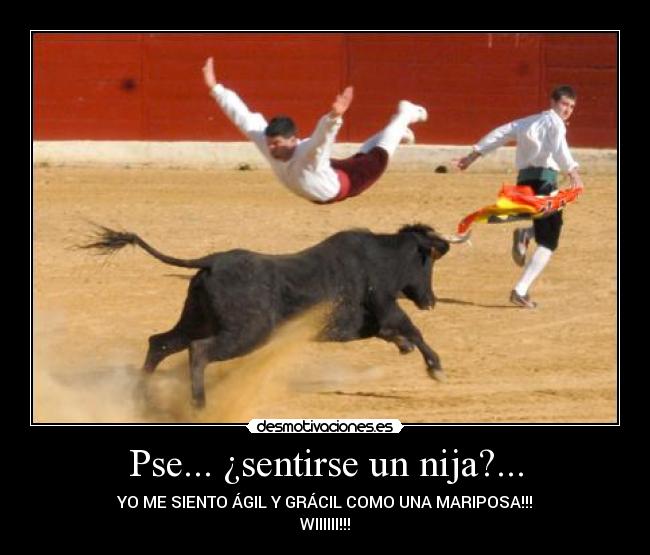 Pse... ¿sentirse un nija?... - YO ME SIENTO ÁGIL Y GRÁCIL COMO UNA MARIPOSA!!!
WIIIIII!!!