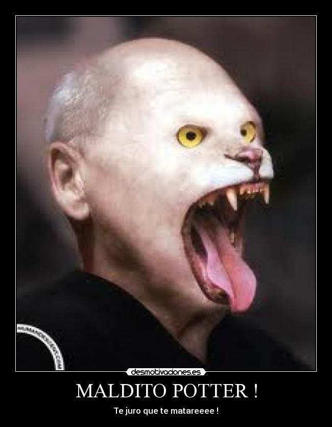MALDITO POTTER ! - Te juro que te matareeee !