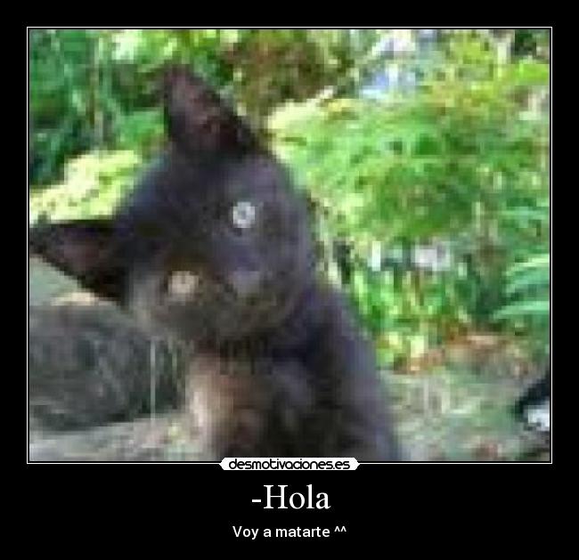 -Hola -