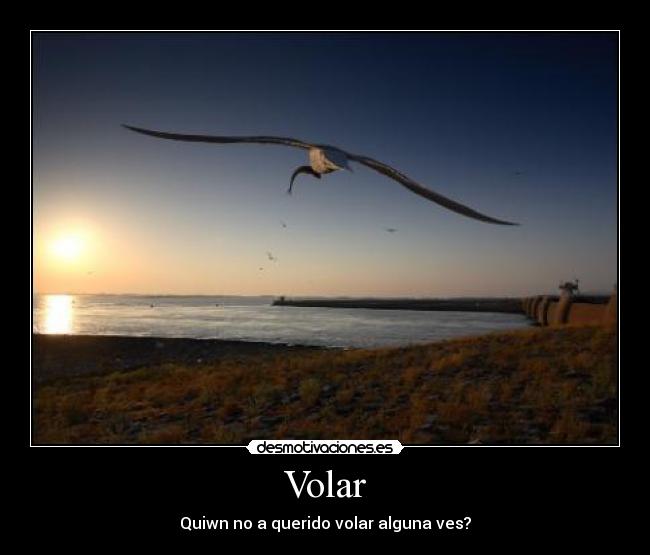 Volar -