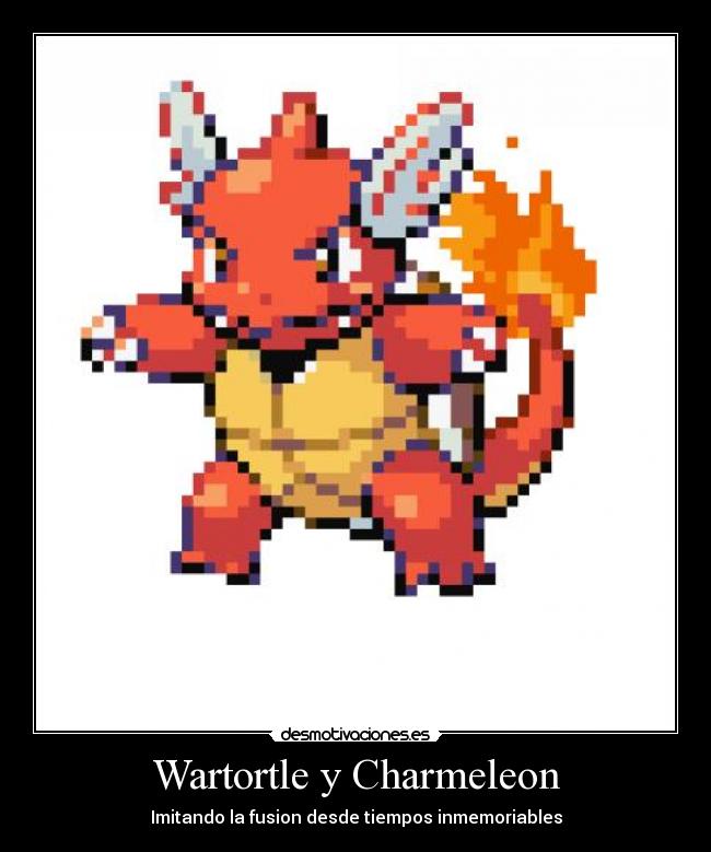 Wartortle y Charmeleon -