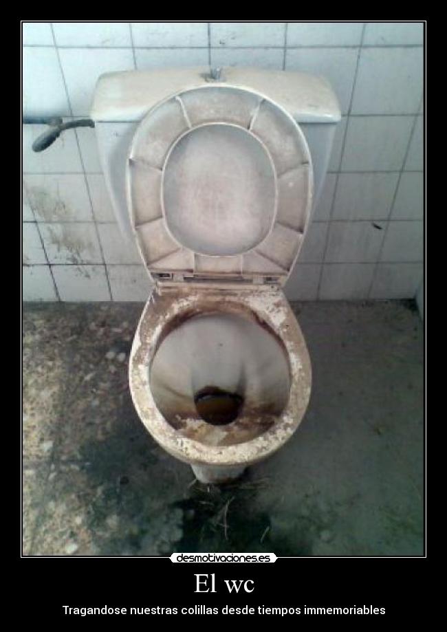 El wc -