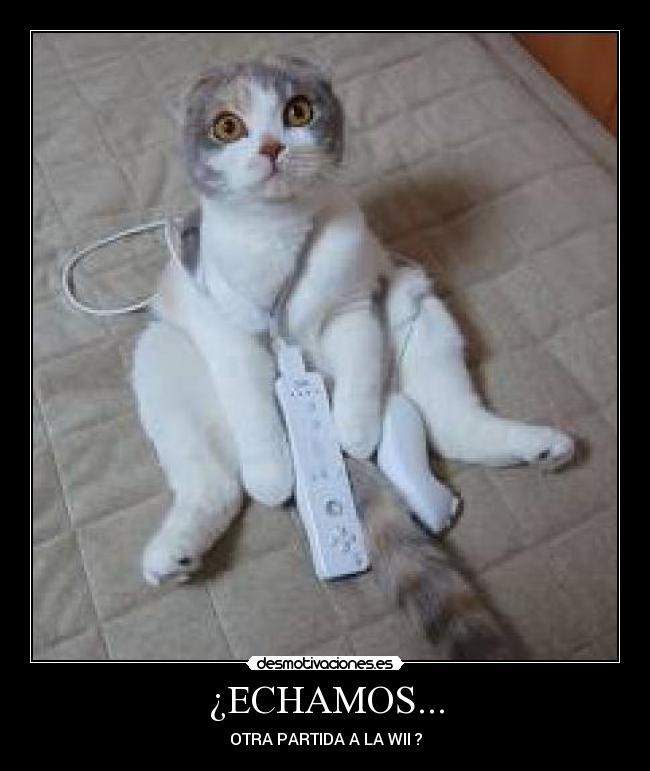 ¿ECHAMOS... - 