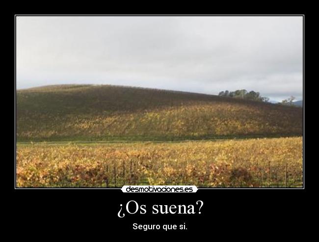 ¿Os suena? - 