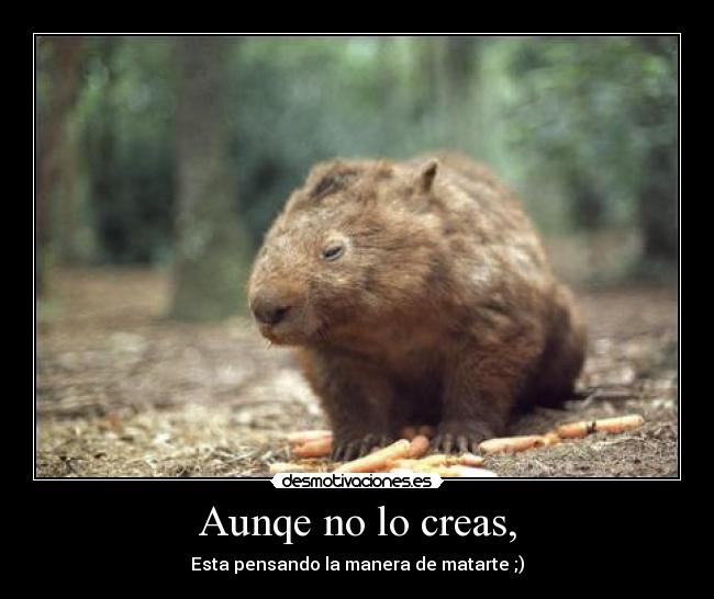 Aunqe no lo creas, - Esta pensando la manera de matarte ;)