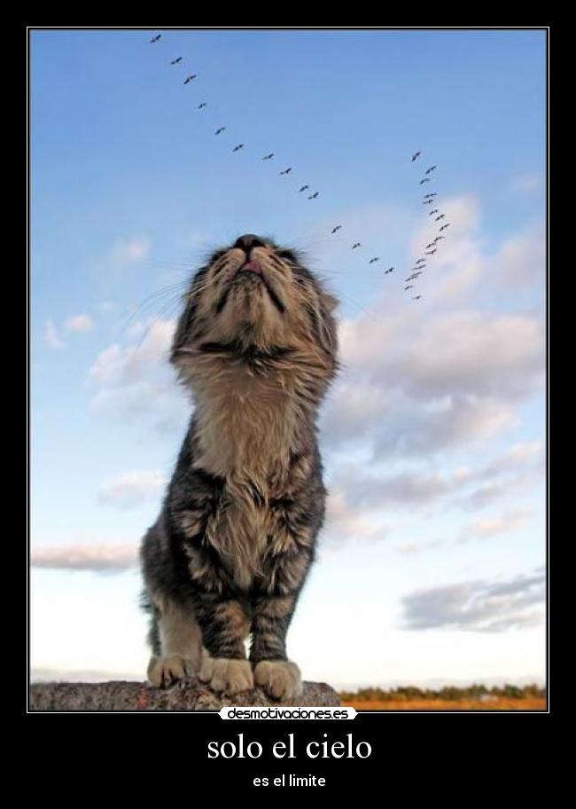solo el cielo - es el limite