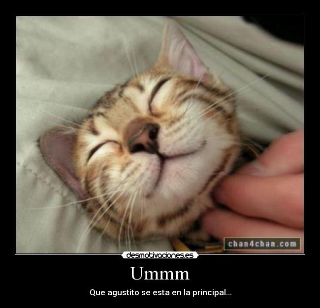 Ummm - Que agustito se esta en la principal...