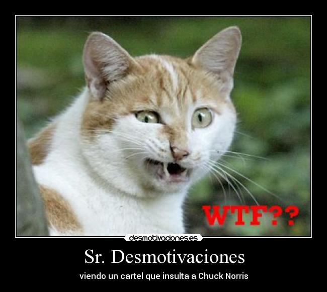 Sr. Desmotivaciones - viendo un cartel que insulta a Chuck Norris