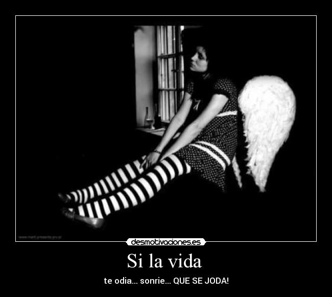 Si la vida  - 