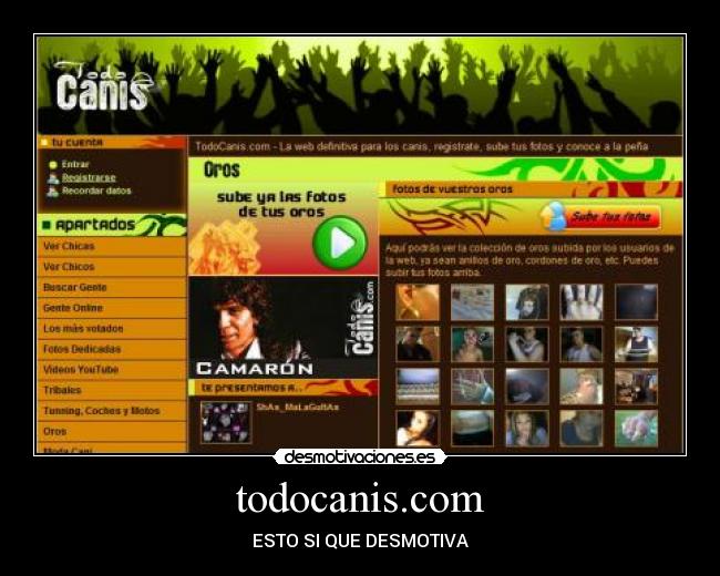 todocanis.com -