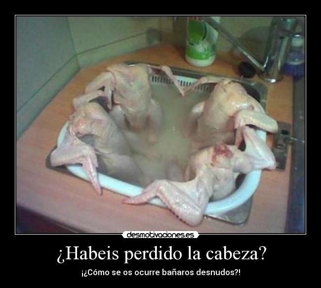 ¿Habeis perdido la cabeza? - ¡¿Cómo se os ocurre bañaros desnudos?!