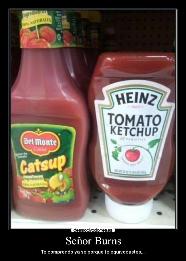 Señor Burns - Te comprendo ya se porque te equivocastes....