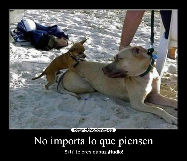 No importa lo que piensen -