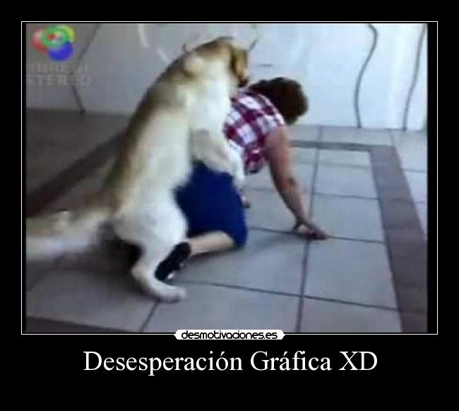 Desesperación Gráfica XD -