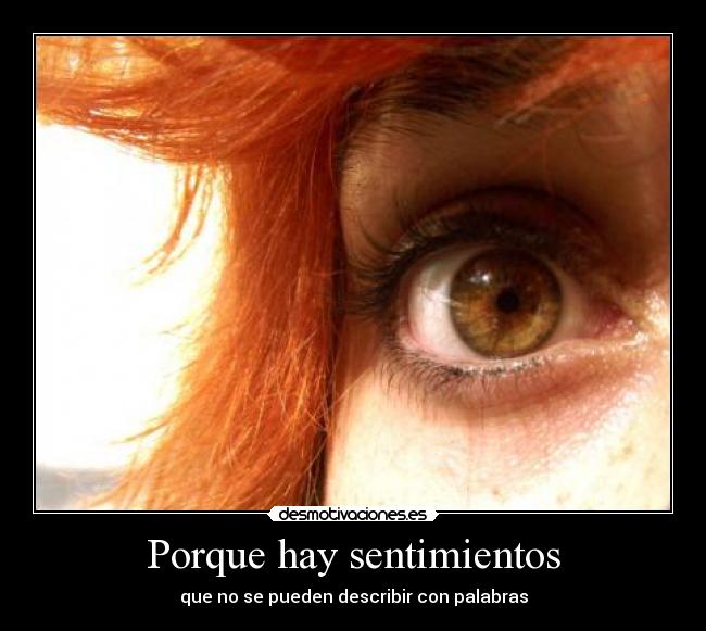 Porque hay sentimientos - 