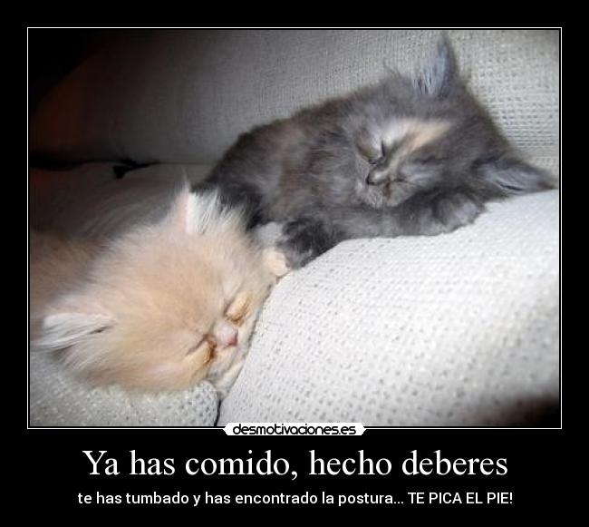 Ya has comido, hecho deberes - te has tumbado y has encontrado la postura... TE PICA EL PIE!